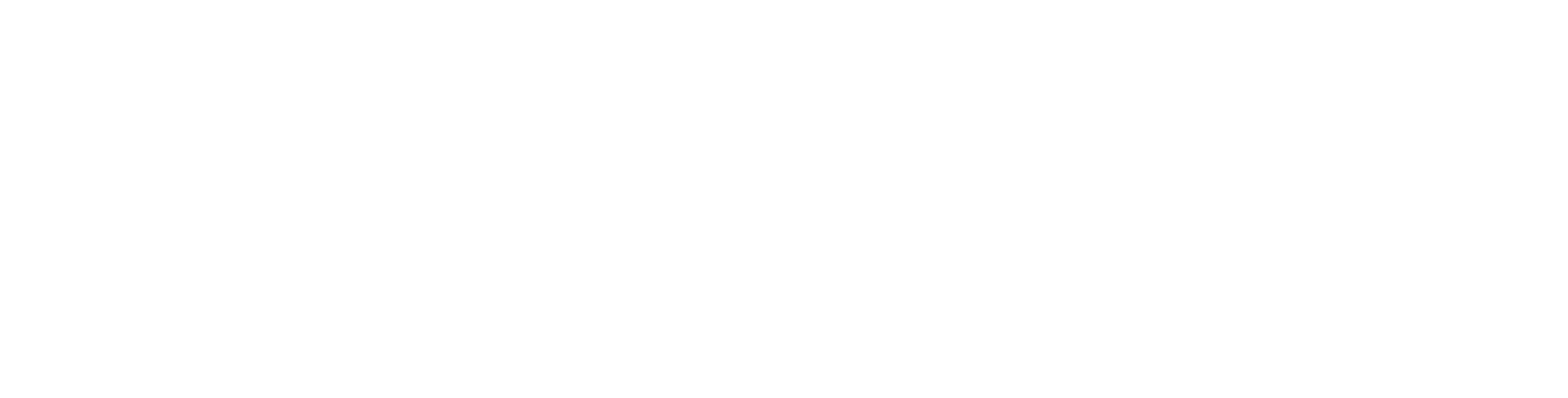 Logo energizer